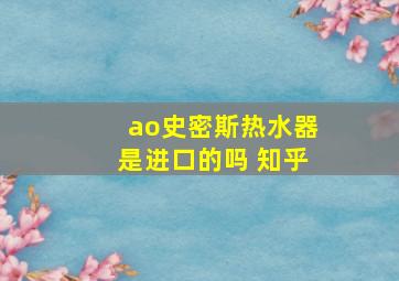 ao史密斯热水器是进口的吗 知乎